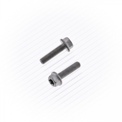 Schraube M5-0.8x20 SW 8 Euro Style Flansch 10 Stück