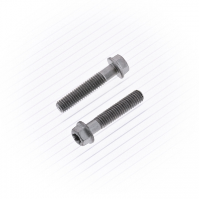 Schraube M6-1.0x30 SW 8 Euro Style Flansch 10 Stück