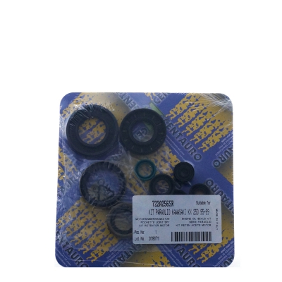 CENTAURO Motor Simmerringsatz KAWASAKI KX 250 1993 - 2004