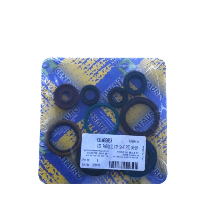 CENTAURO Motor Simmerringsatz für KTM SX-F 250 06-12, EXC-F 05-13