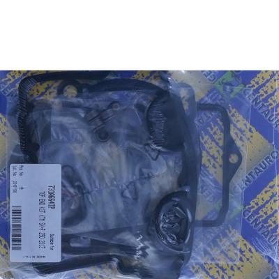 CENTAURO Dichtungssatz Topend für KTM SX-F 250 13-15, EXC-F 250 14, Husqvarna FC 250 14-15