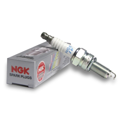 Zündkerze NGK CRF 450 02-08