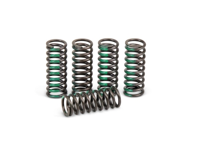 Pro Circuit Kupplungsfedern Kawasaki KX 85 01- 15